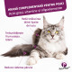 Pet Phos Felin Pelage Ceva - Supliment Pentru Pisici 3x12 Tablete
